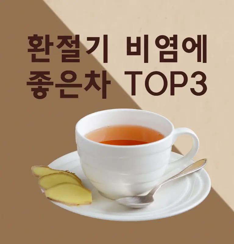 환절기 비염에 좋은 차 TOP3