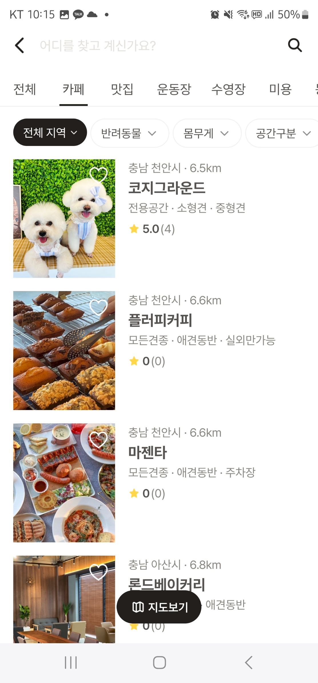 내-주변-애견동반-카페-찾기