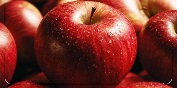 콜레스테롤 이란 HDL LDL 수치6