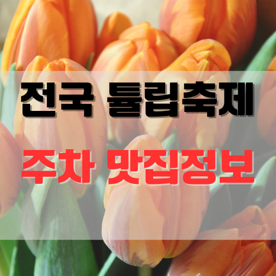 2024전국튤립축제주차맛집정보
