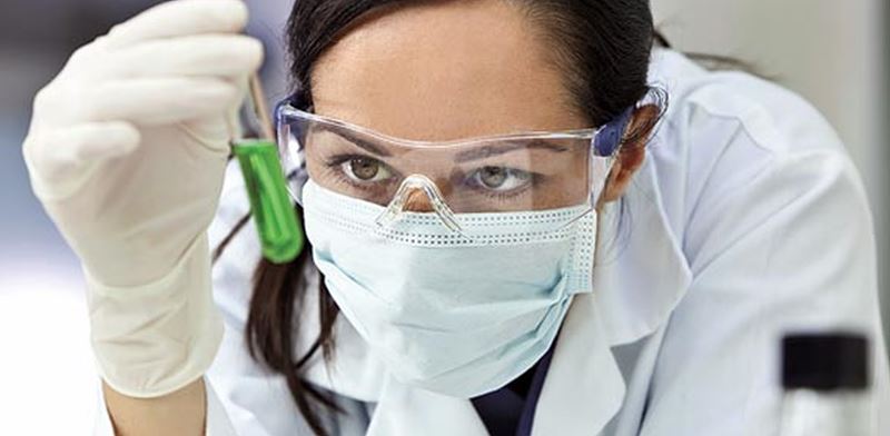 ๊ฐ๋ฉ๋ ํ๋จธ์ํฐ์ปฌ์ค ์ฃผ๊ฐ ์ ๋ง 2025: Aramchol๊ณผ Regorafenib ๋ณ์ฉ GI ์ ์น๋ฃ ํฌ์ ๊ธฐํ