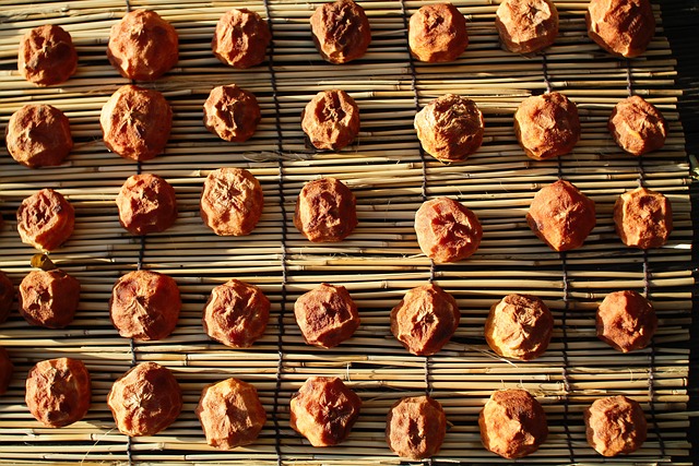 상주곶감축제 2025상주곶감축제