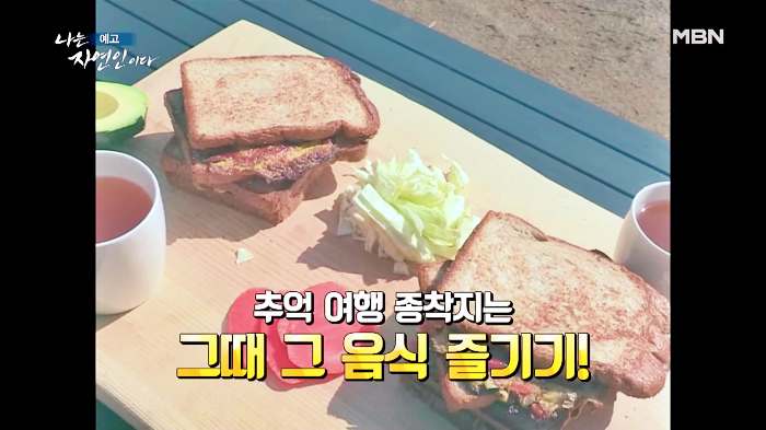 나는 자연인이다 부동산 투자 은퇴 후 추억의 솥뚜껑 토스트 감자전 어머니 레시피 머랭 빵 만드는 자연인 유민재 소개 및 이승윤 출연 546회 다시보기