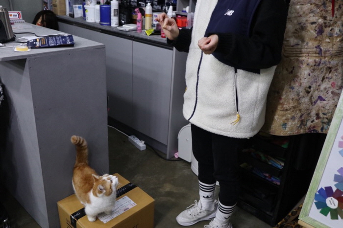 먼치킨