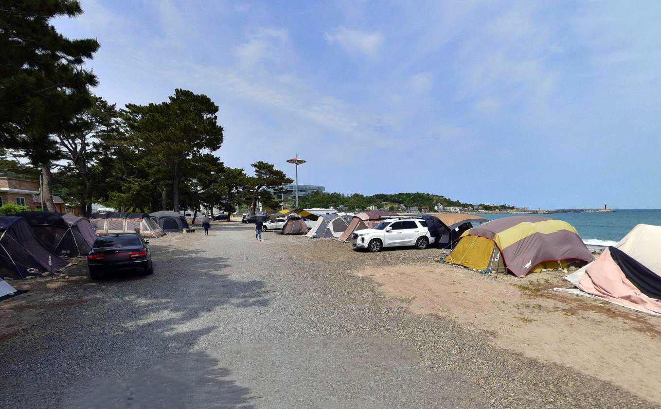 경주 관성솔밭해변