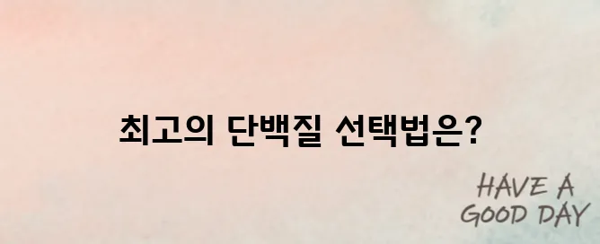 헬스 보충제 추천 단백질 제품 비교