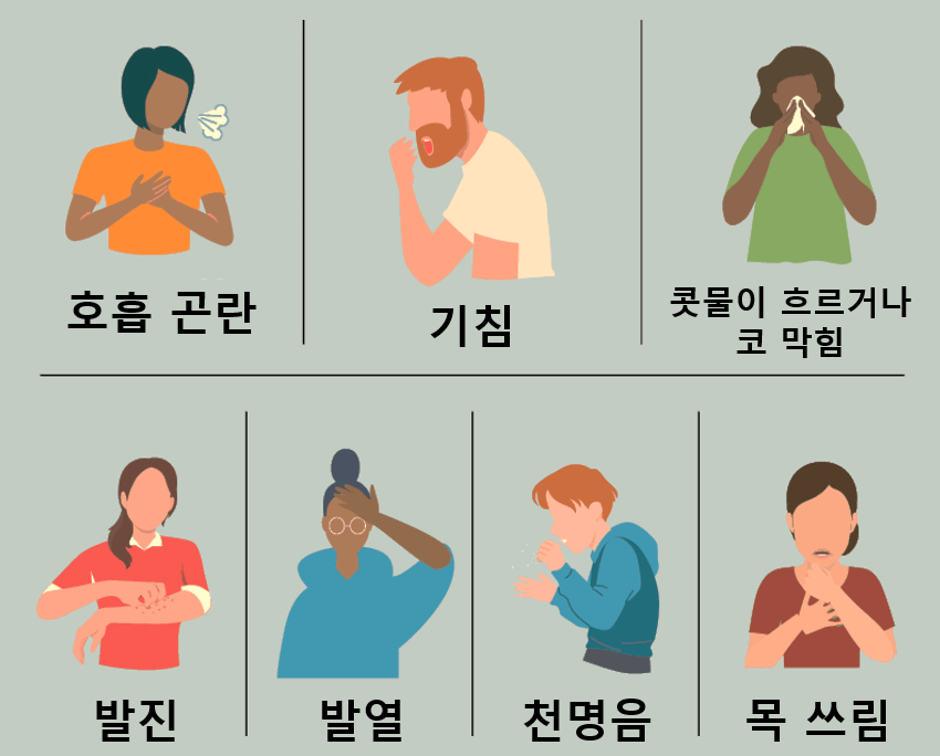 HMPV 정보