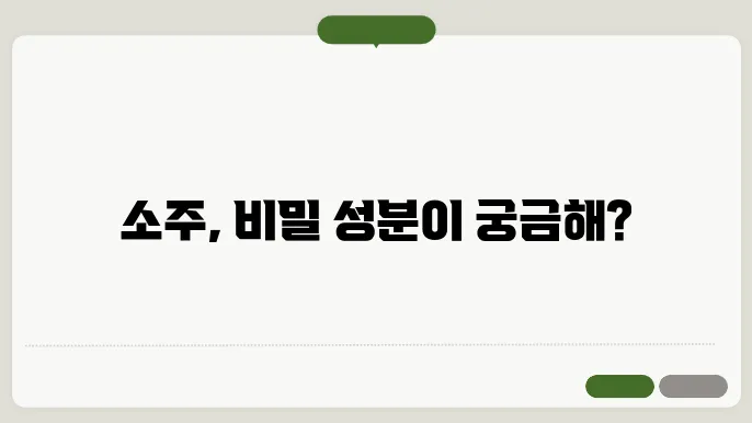 소주 성분