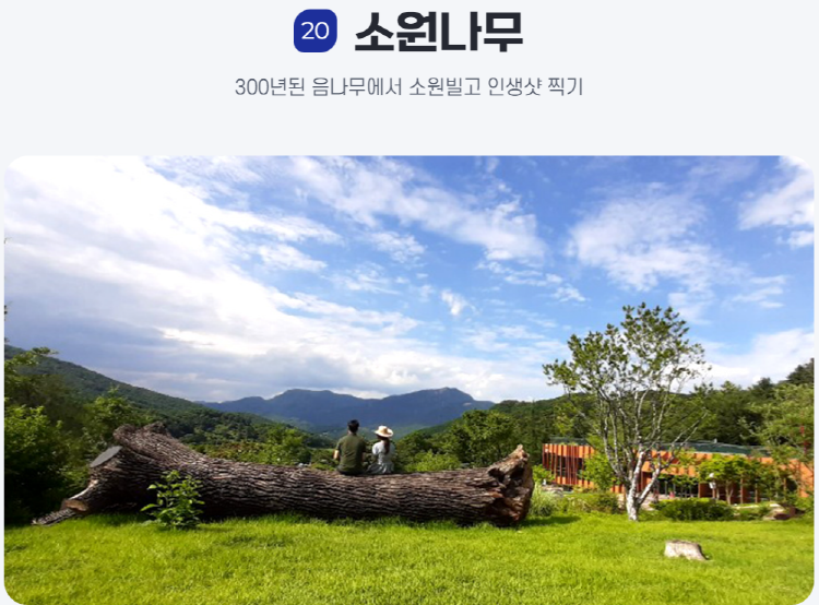 물맑음 수목원