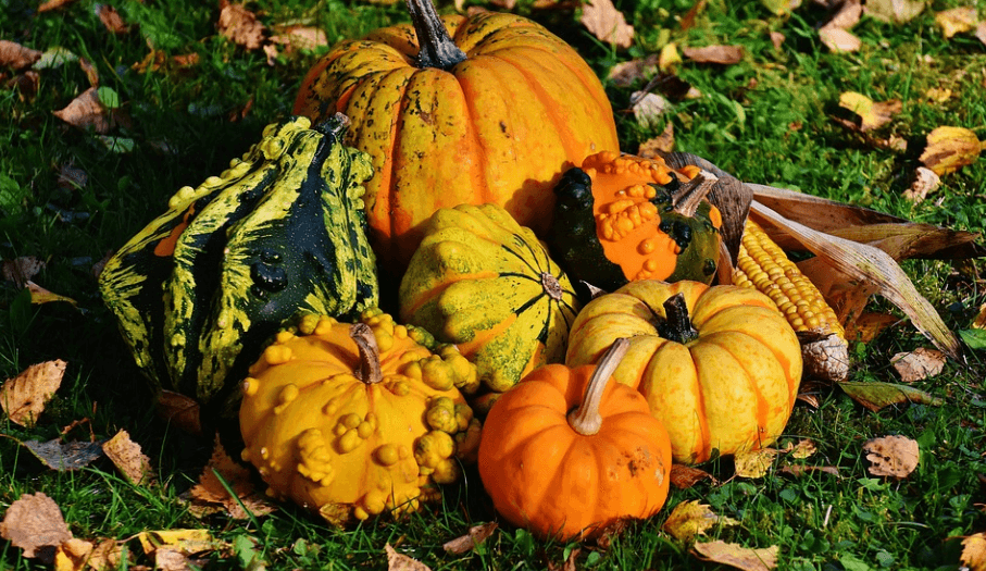 피를 맑게 해주는 음식 채소와 호박