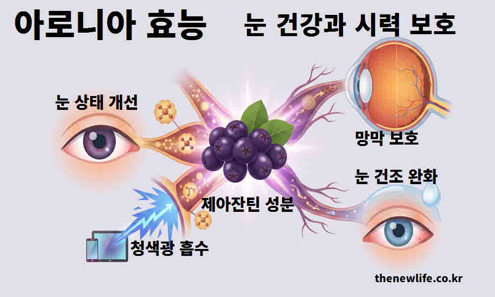 아로니아 효능 눈 건강 시력 보호