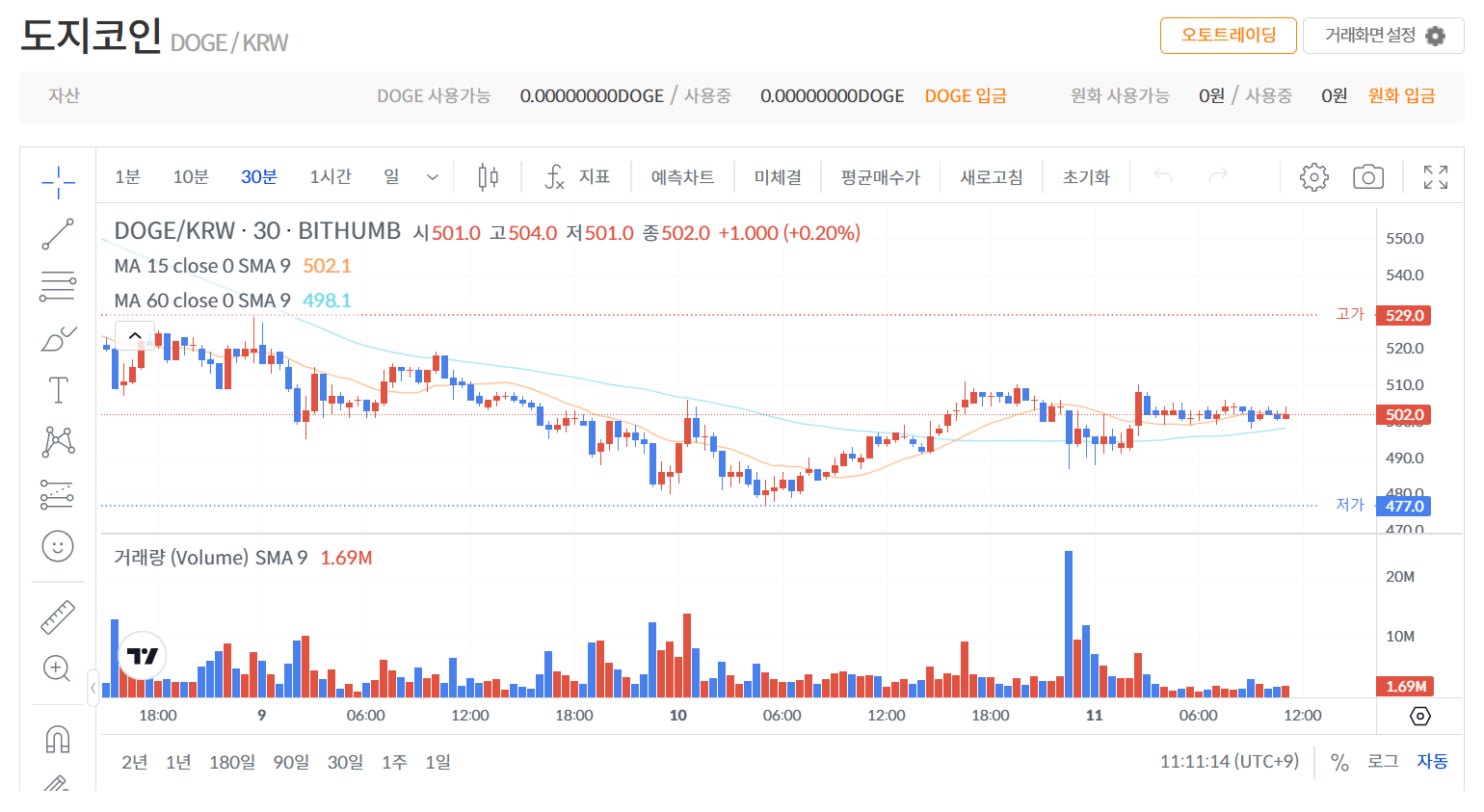 도지코인 전망과 시세