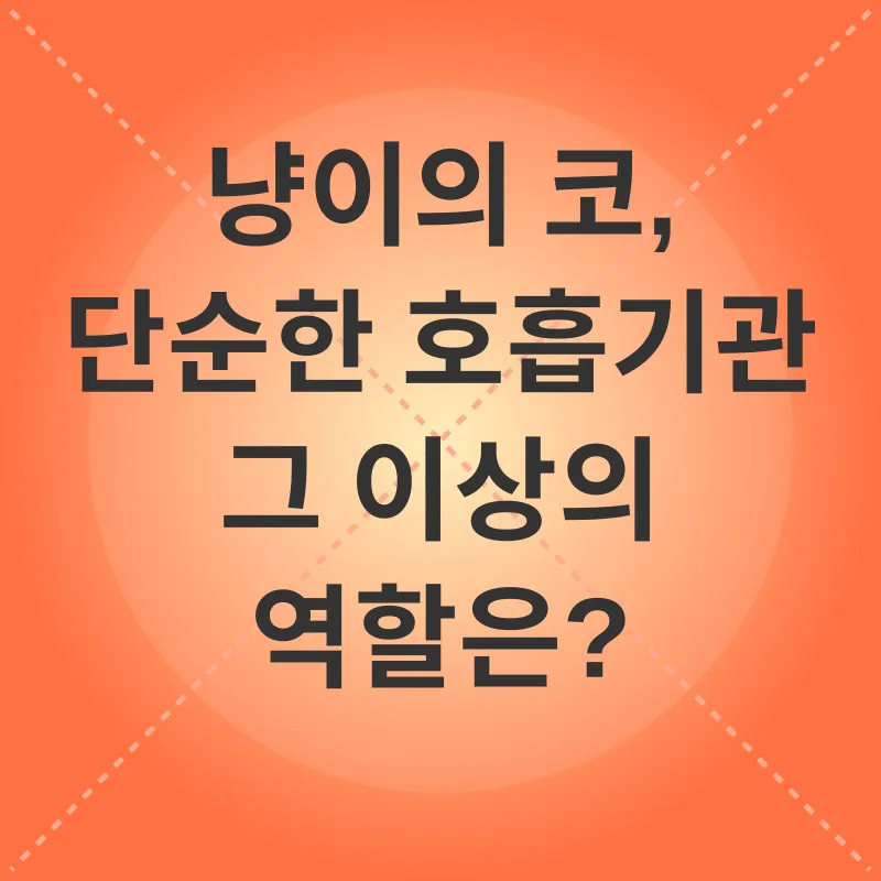 고양이 코 건강_1