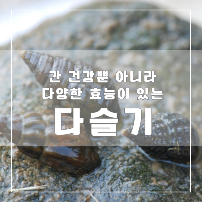 다슬기