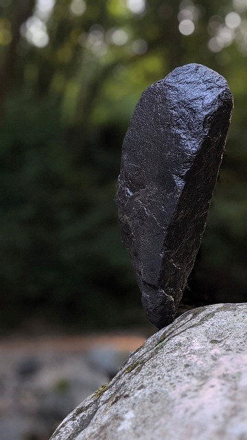 『아리스토텔레스』와 중용, 균형 잡힌 삶을 위한 철학