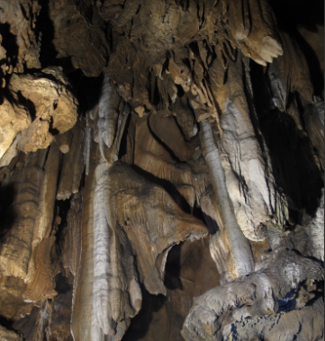 소백산 생태탐방원 예약 및 이용 정보 총정리