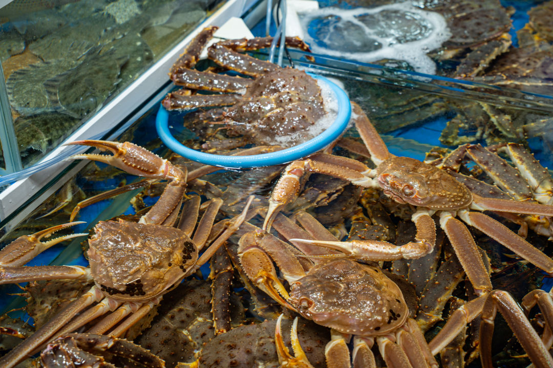 궁평항 수산물 직판장