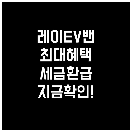 레이 EV 1인승 밴 전기차 지원금 ..