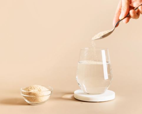 차전자피-다이어트-효과