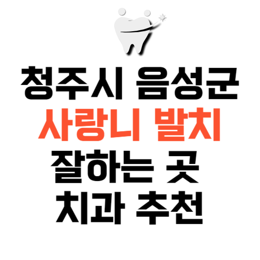 충북 음성군 사랑니 치과 발치 잘하는 곳 추천 매복 가격 비용.png