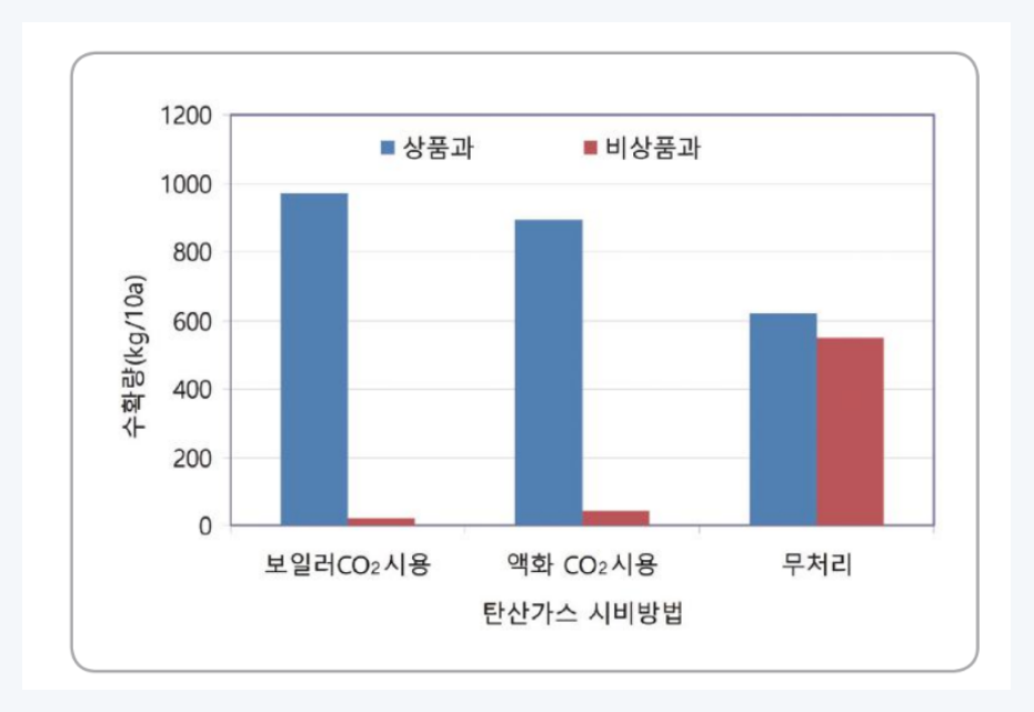 탄산가스 시비방법