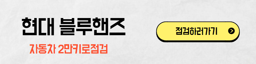 현대 블루핸즈 바로가기