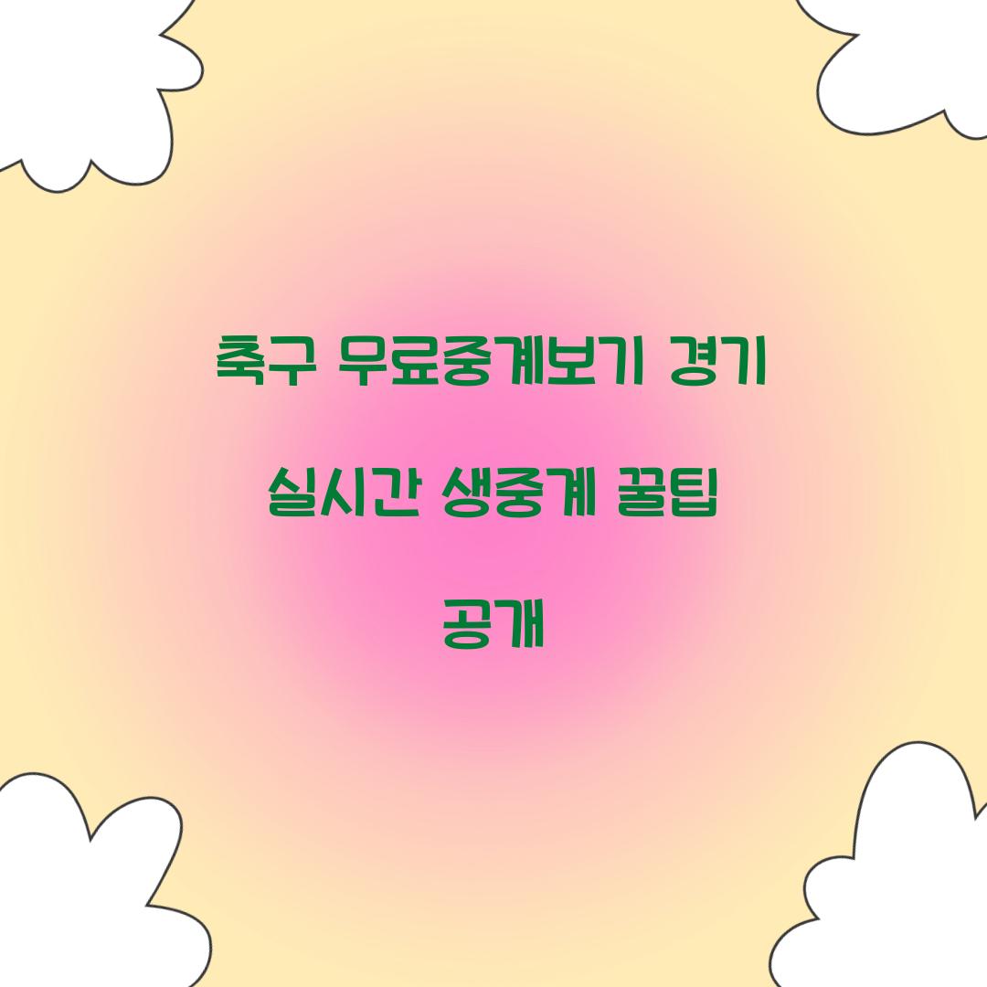축구 무료중계보기