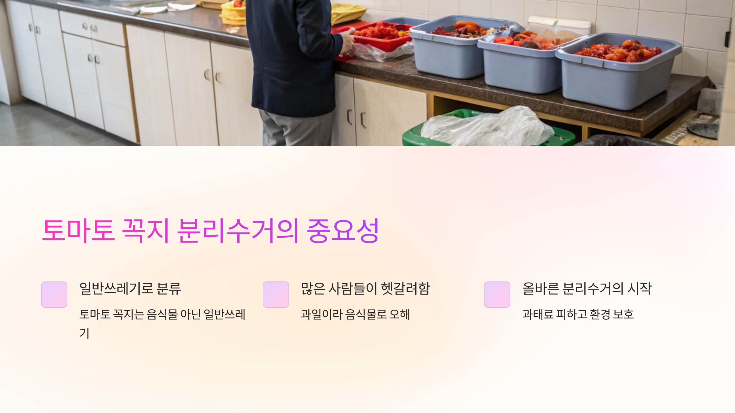 🍅 토마토 꼭지의 구조와 특징