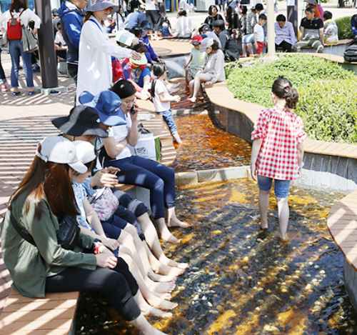 보성다향대축제