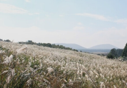 산굼부리