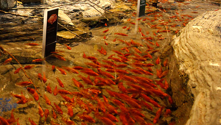 여수 아쿠아리움