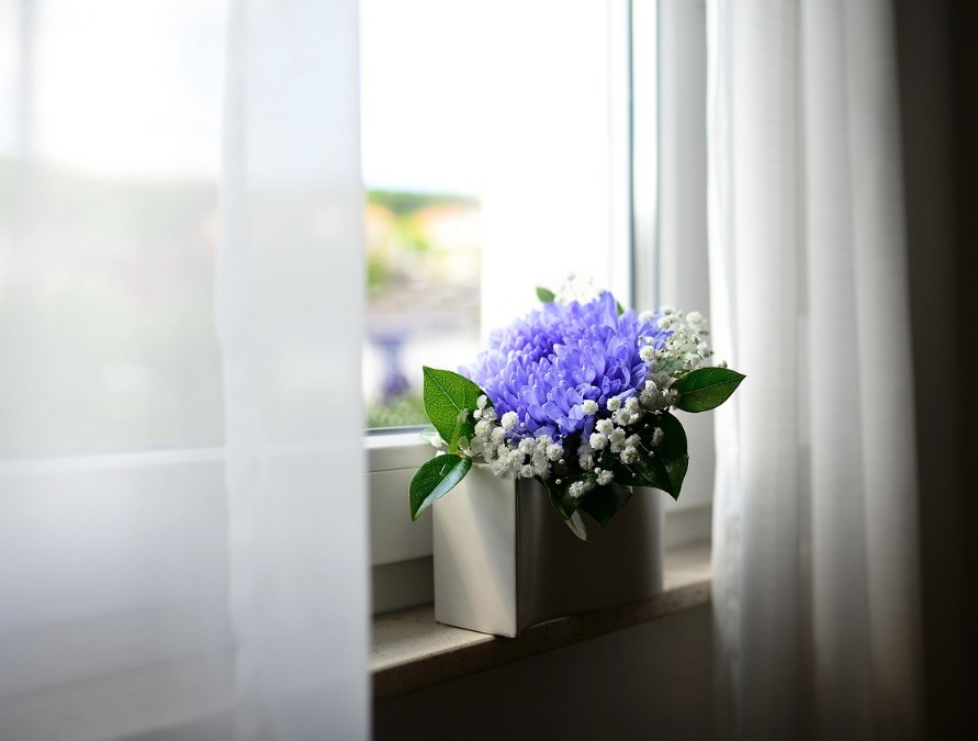 생활환경균 위생노트: 지금 집 상태 점검 체크리스트