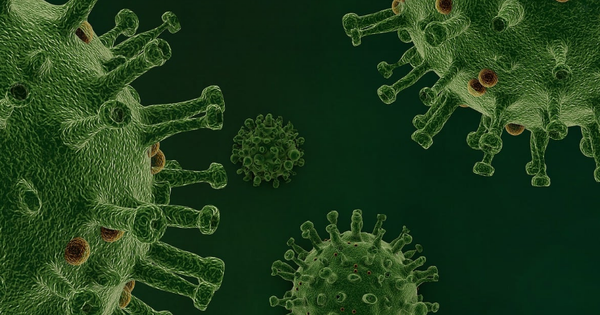 장내 미생물을 표현한 사진