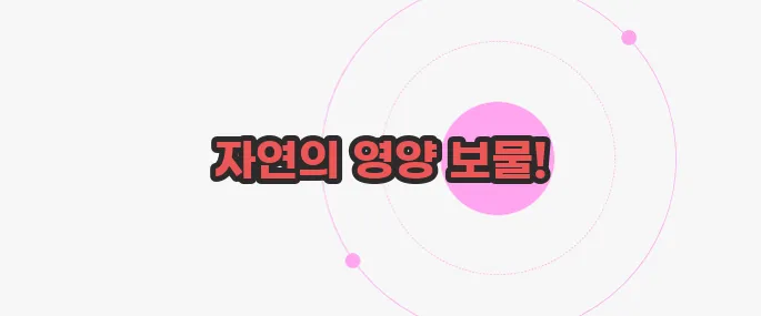 홀그레인 뜻 한번 정확하게 알아보도록 하죠