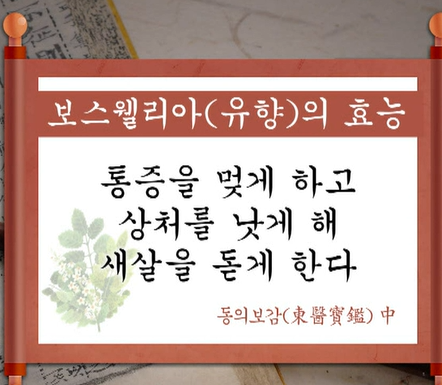 보스웰리아
