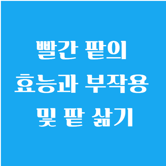 빨간 팥의 효능과 부작용 및 팥 삶기