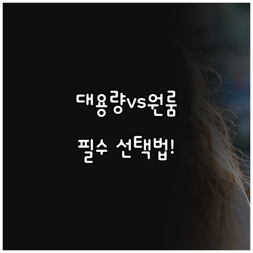 42평형 대용량부터 원룸용 초저소음까..