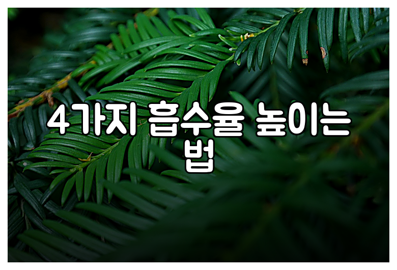 4가지 흡수율 높이는 법
