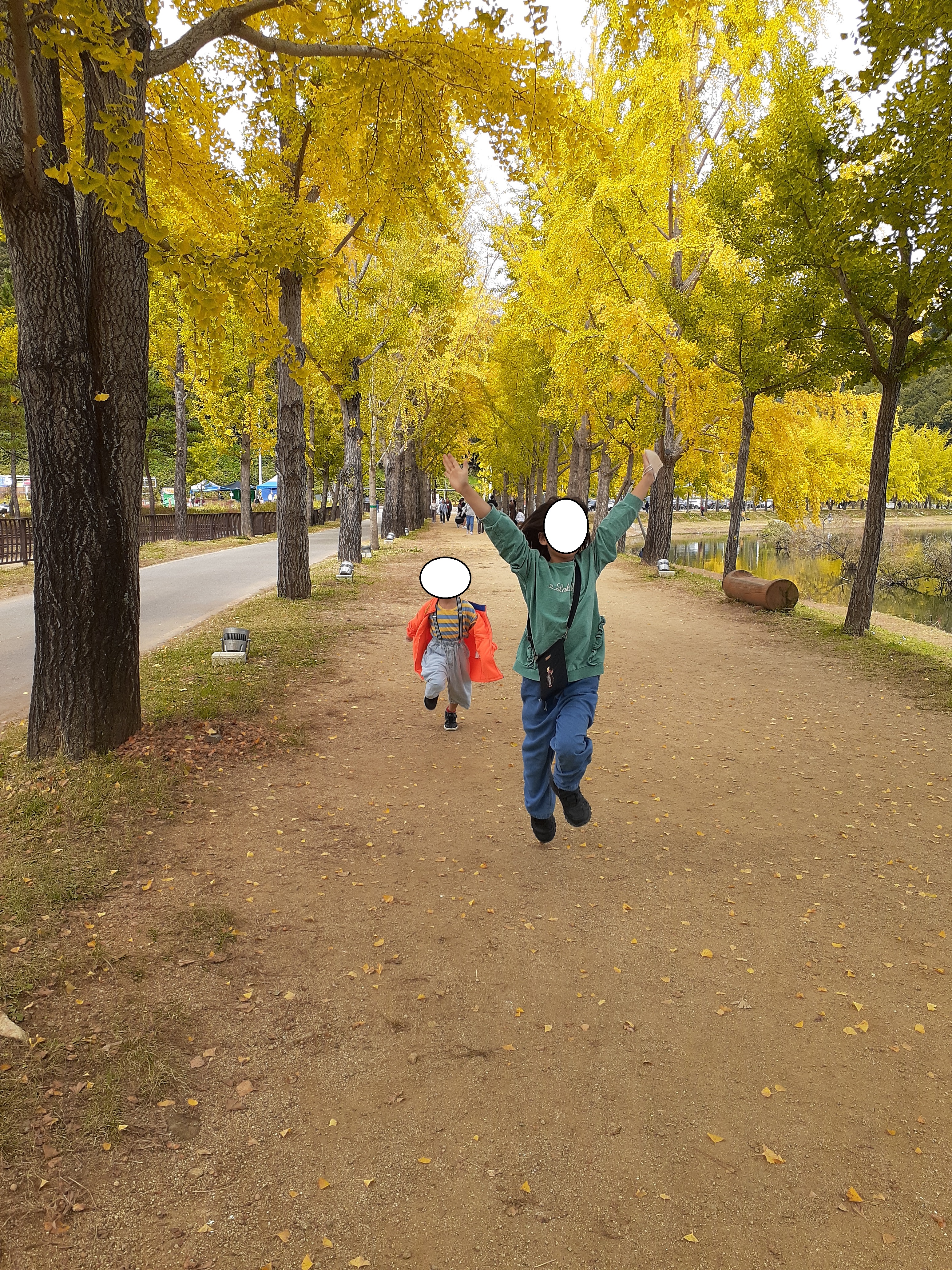 문광저수지단풍