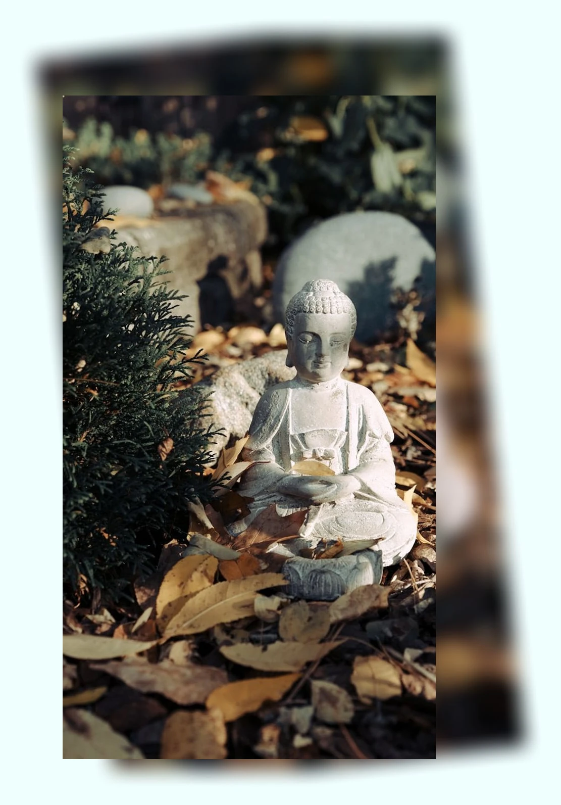 마음챙김_2_subsection