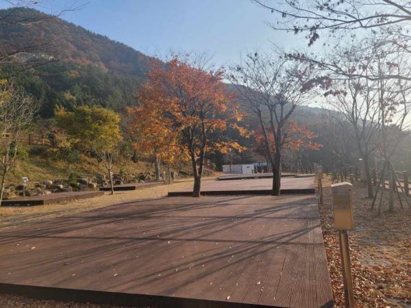 가을-야영장