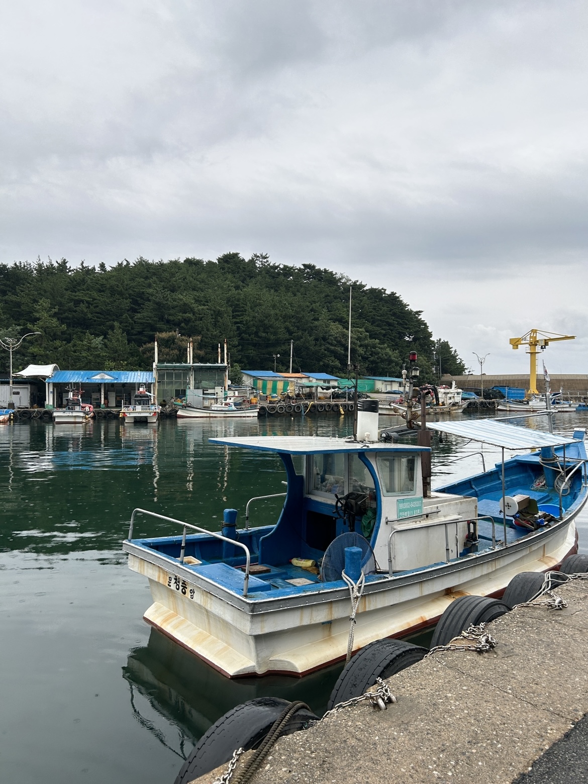 고성 백도항 백도수산 가리비 직매장