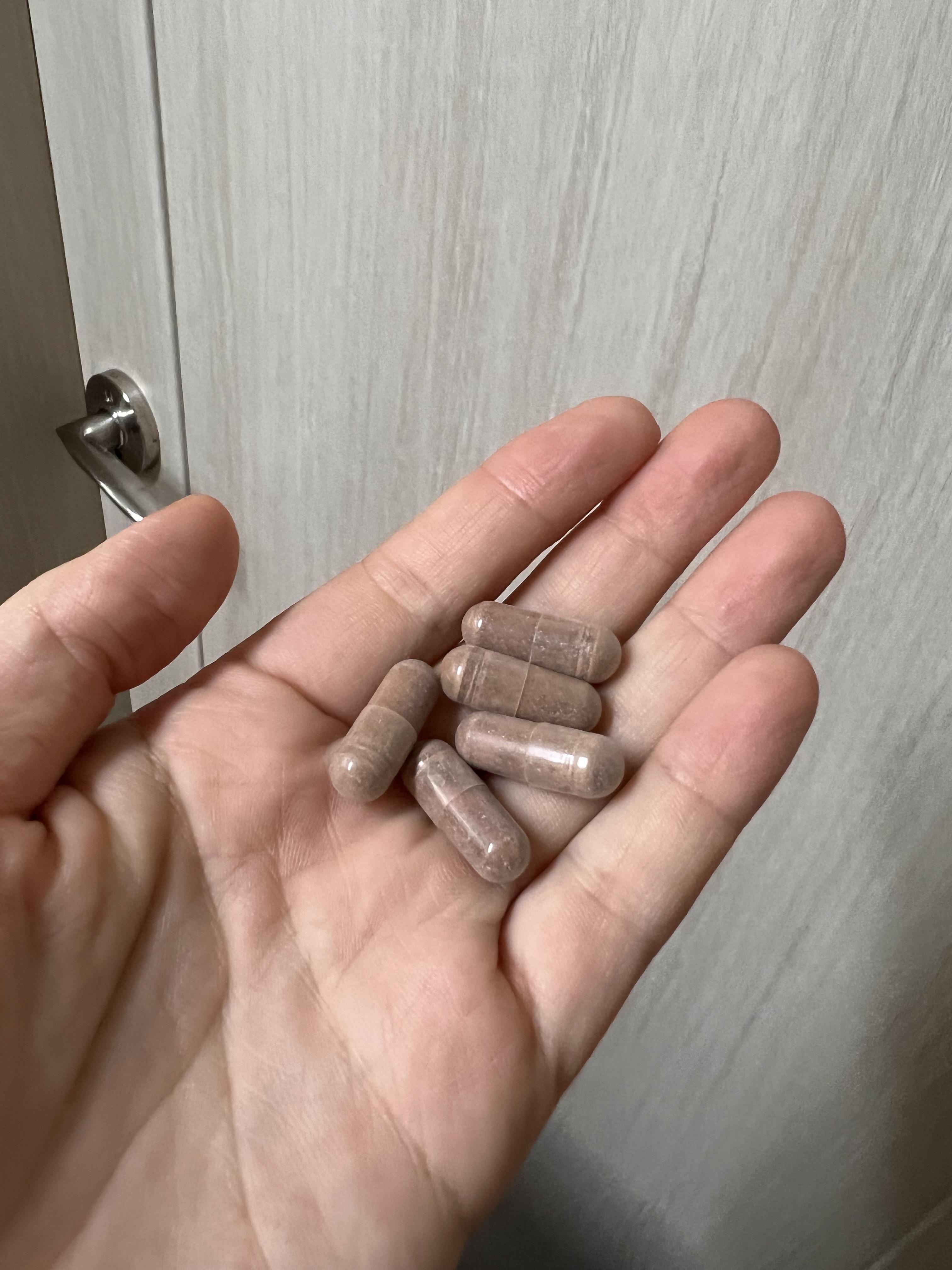 카테킨 EGCG 다이어트 효능 효과 권장량 섭취방법