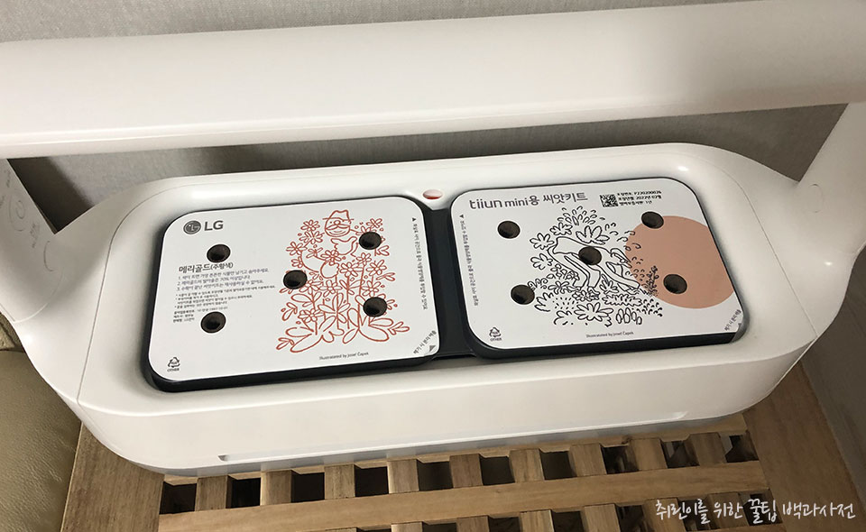 식물 재배기 엘지 튀운 미니 리뷰 - 심자마자