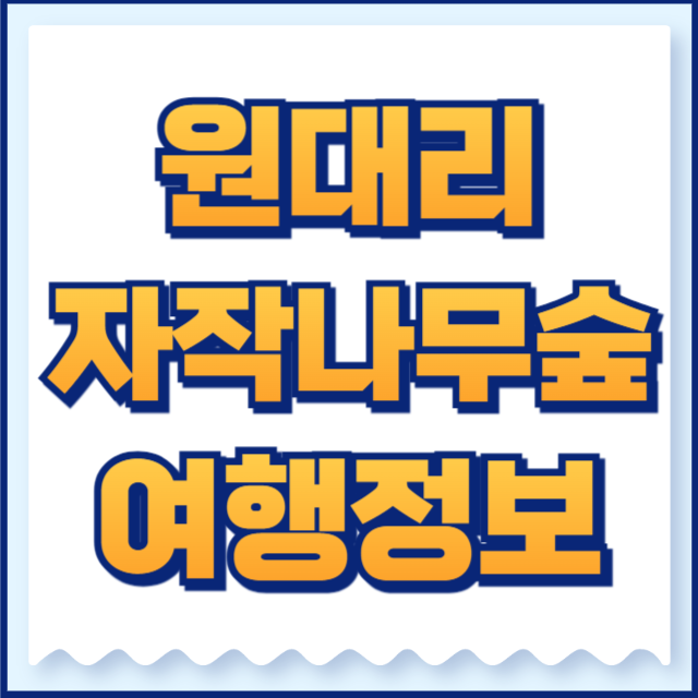 원대리자작나무숲