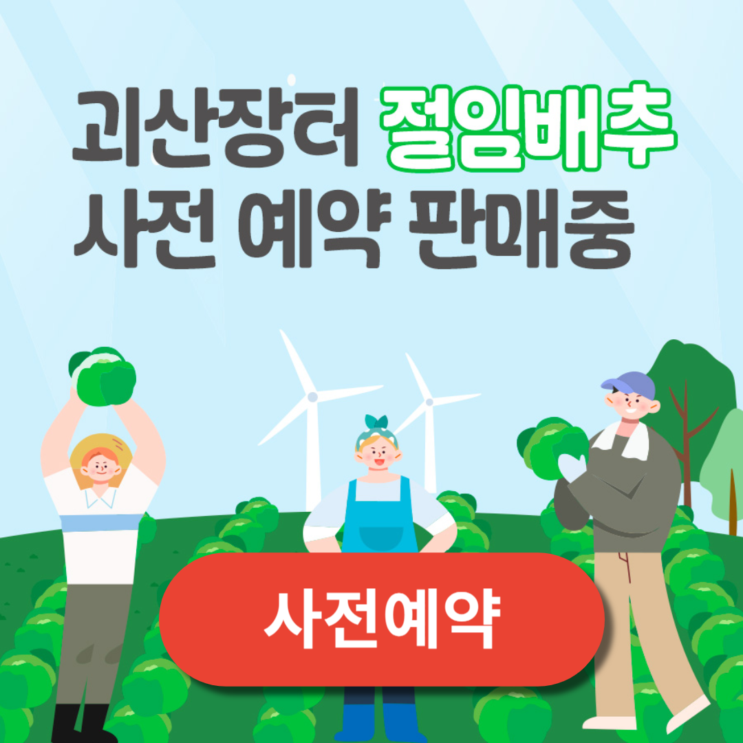 2024괴산절임배추 20KG사전예약