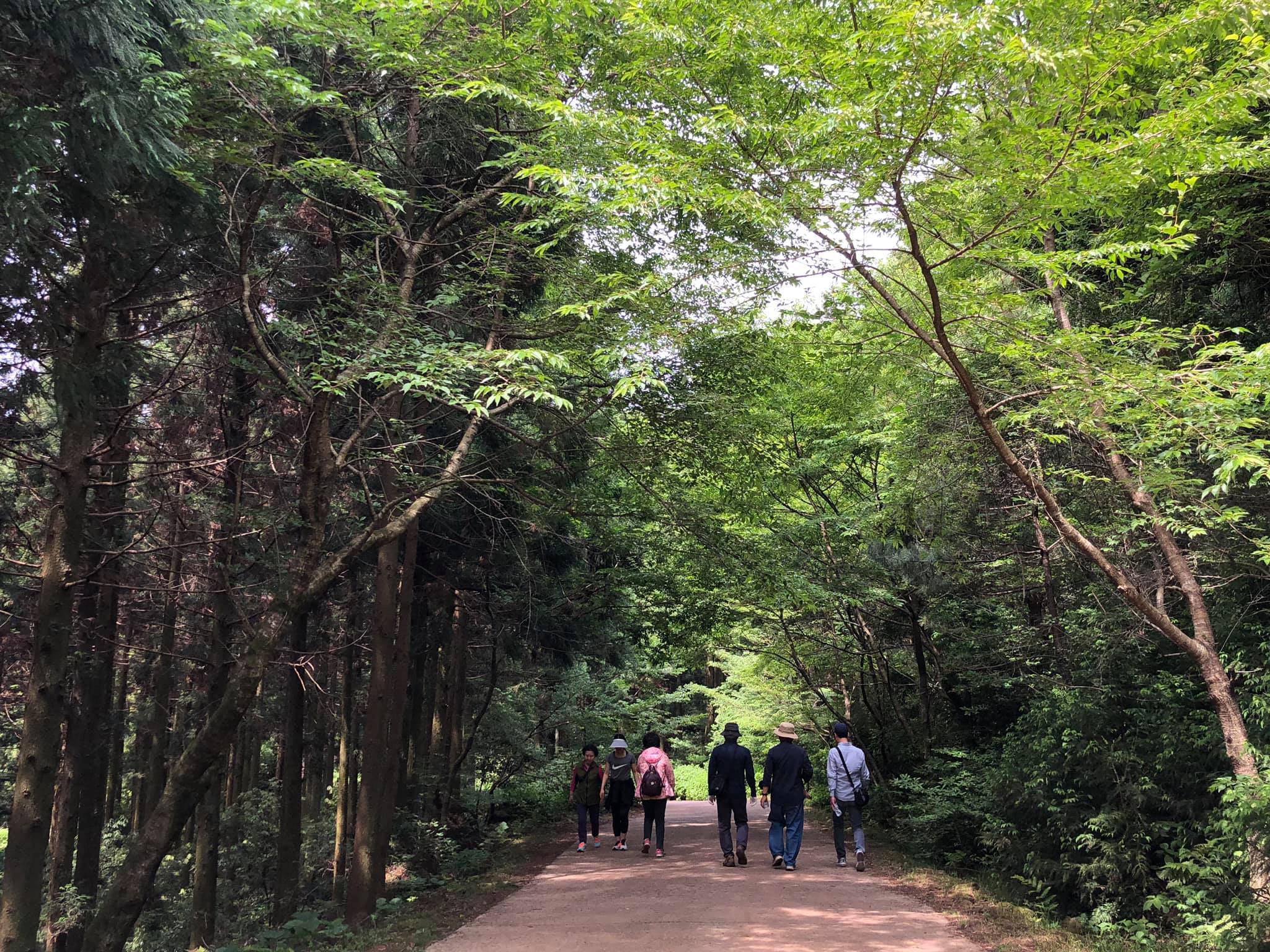 2025 제17회 사려니숲길 에코힐링 축제