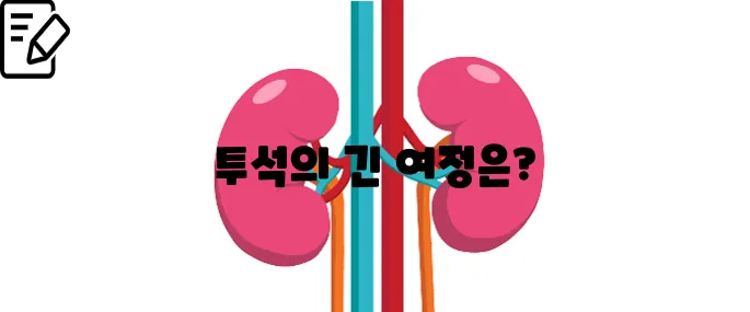 신장 투석 생존기간 치료부터 예후까지 한번에 보기