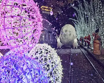 청도 프로방스 빛축제_9