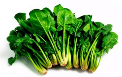 대장내시경 검사